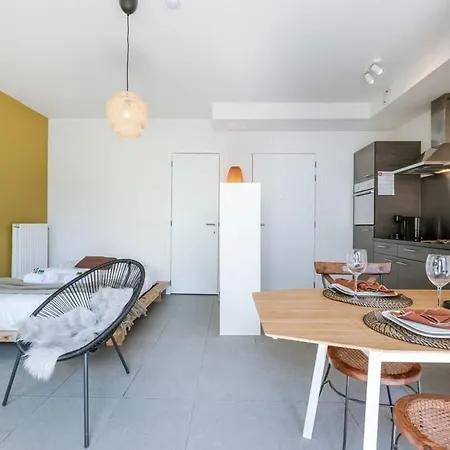 Comfortable With Terrace In * Amberes